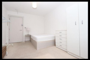 3-bedroom house in quiet , green & central location